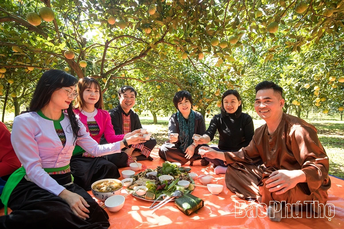 Experiencing the Vibrant Orange Season in Cao Phong