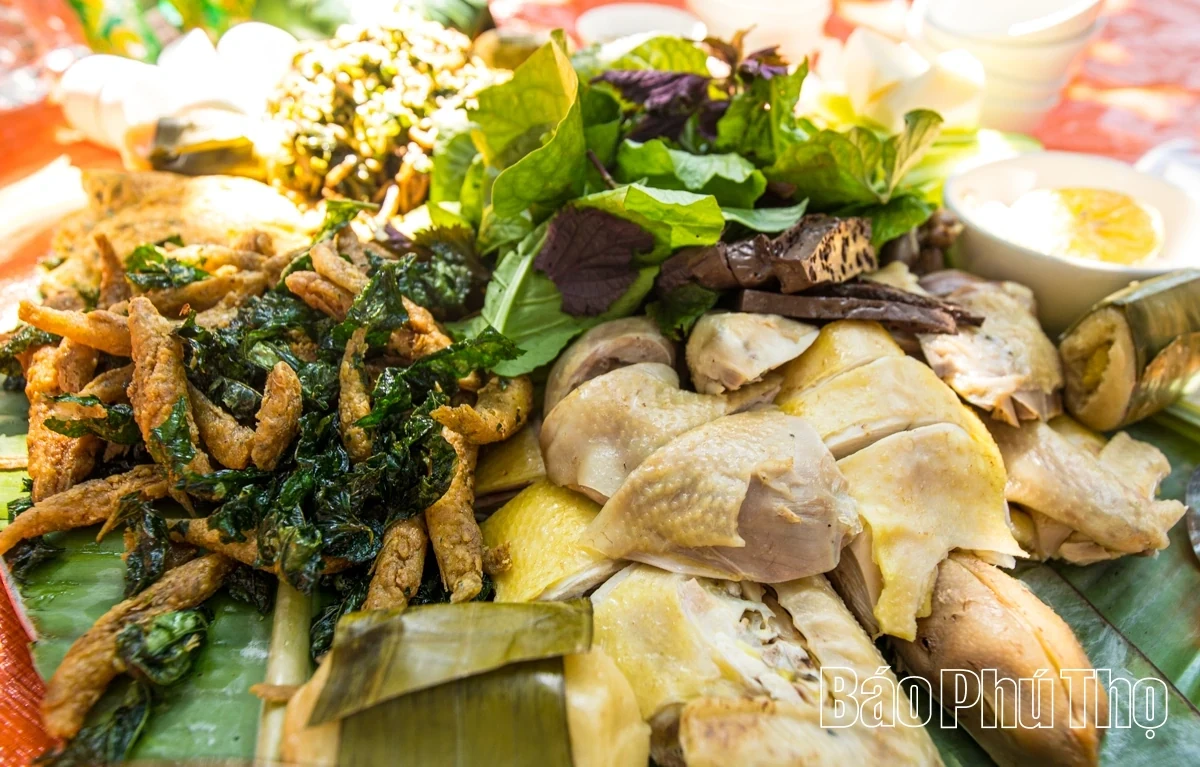 Experiencing the Vibrant Orange Season in Cao Phong