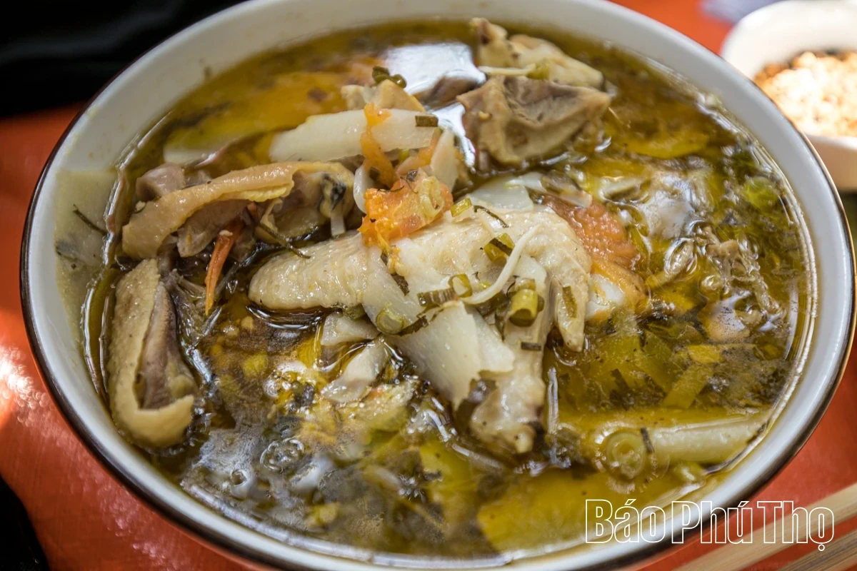 Experiencing the Vibrant Orange Season in Cao Phong