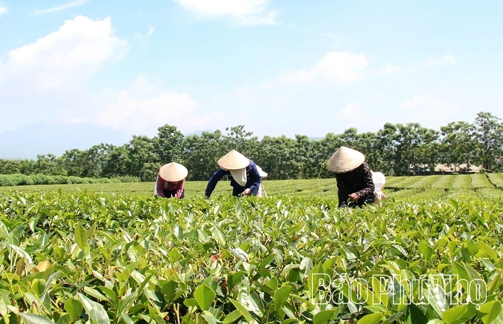 Boosting trade promotion to create new momentum in the expanded economic space