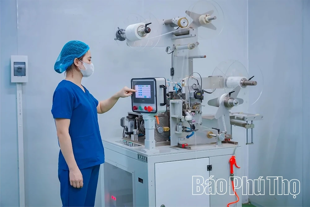 Que Viet Tea: Pure Agricultural Products Meeting OCOP Standards