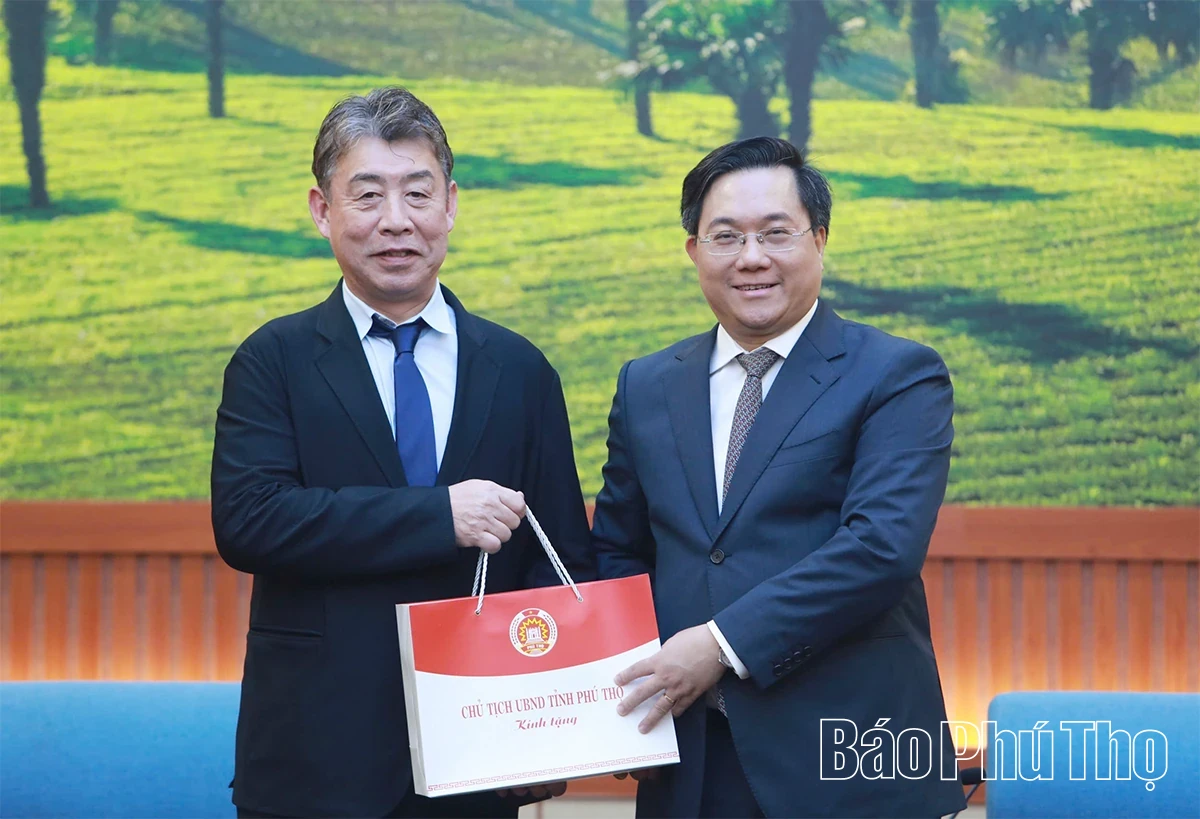 Phu Tho Strengthens Cooperation with Japanese Enterprises