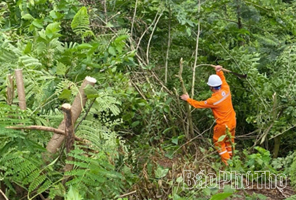 Ensuring Stable and Safe Power Supply