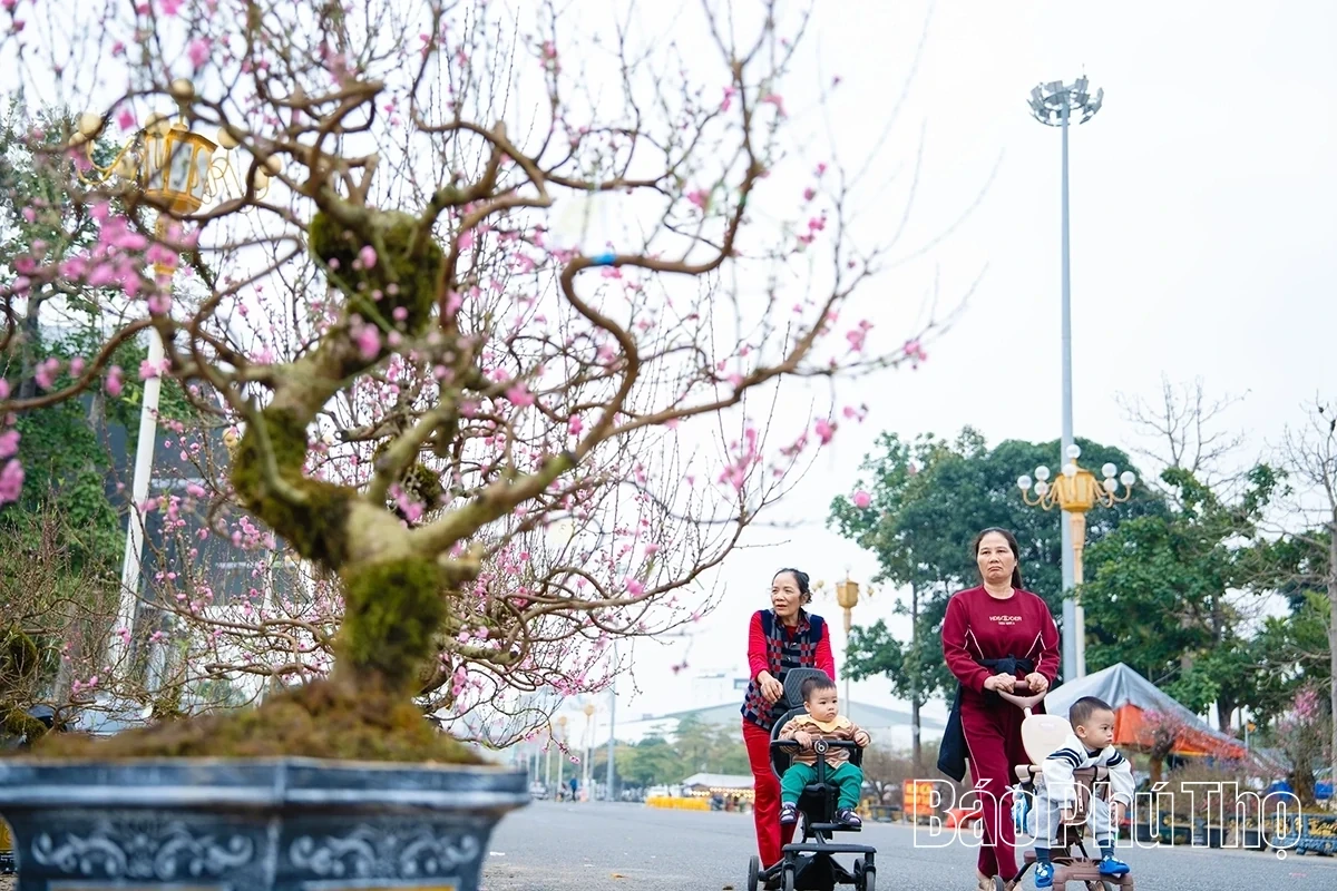 A Bustling Market for Tet Flowers