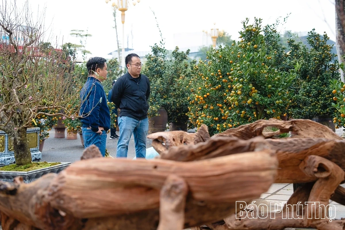 A Bustling Market for Tet Flowers