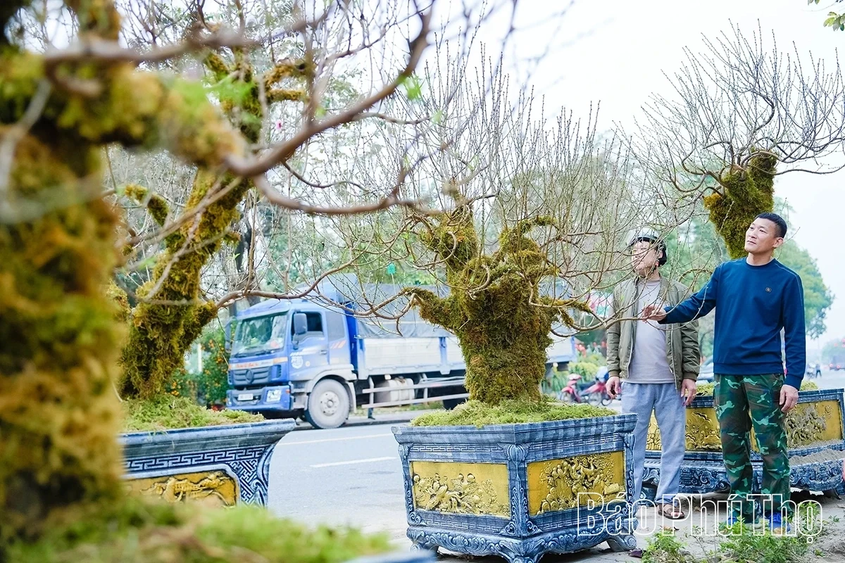 A Bustling Market for Tet Flowers