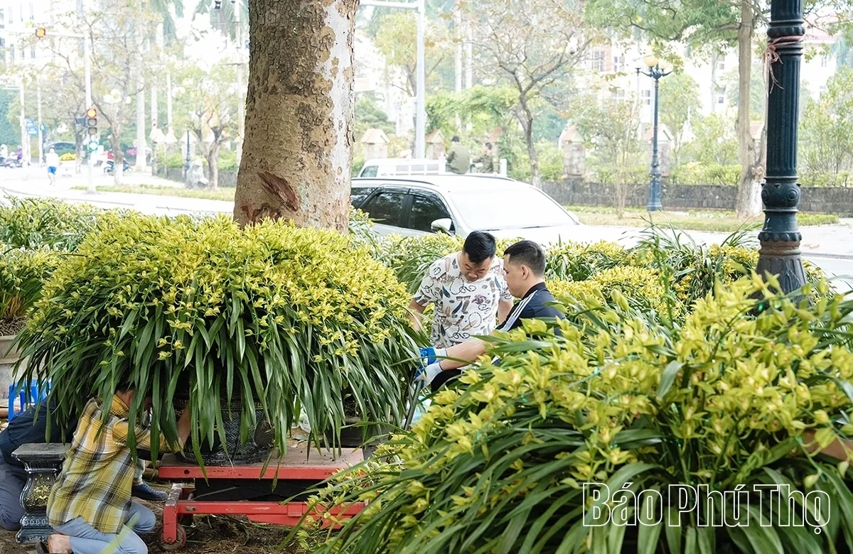 A Bustling Market for Tet Flowers