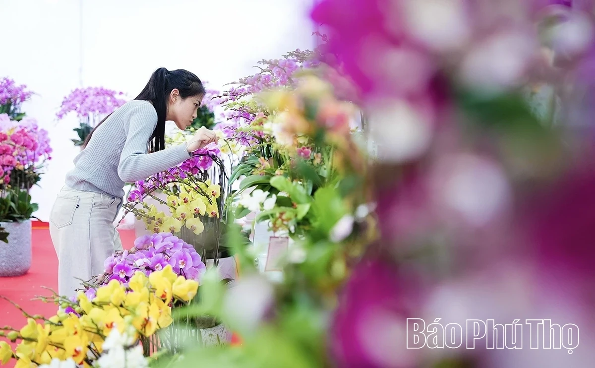 A Bustling Market for Tet Flowers