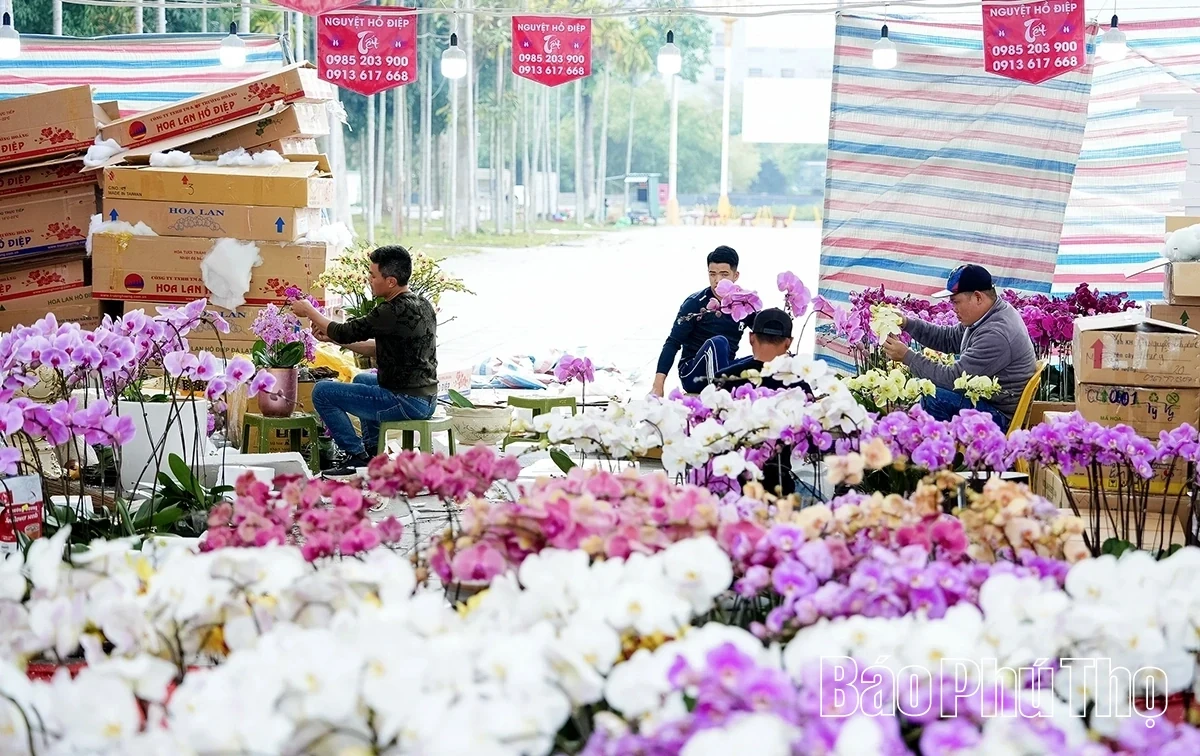 A Bustling Market for Tet Flowers