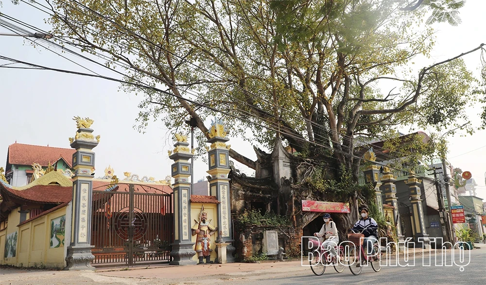 The Unique Gate of Phu Hau Communal House