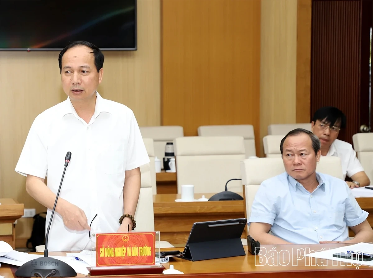 Public Investment Disbursement Designated as a Core Political Task and Tied Directly to Officials KPI Appraisals