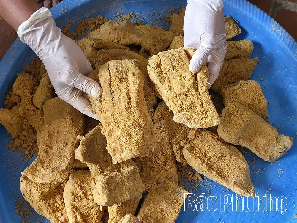 Preserving the Soul of the Land, Flavor of the Homeland Through Traditional Fermented Fish Craft