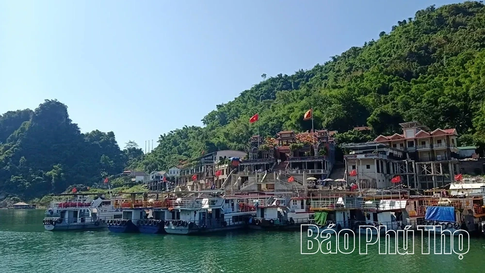The Sacred Aura of the Thac Bo Goddess Temple