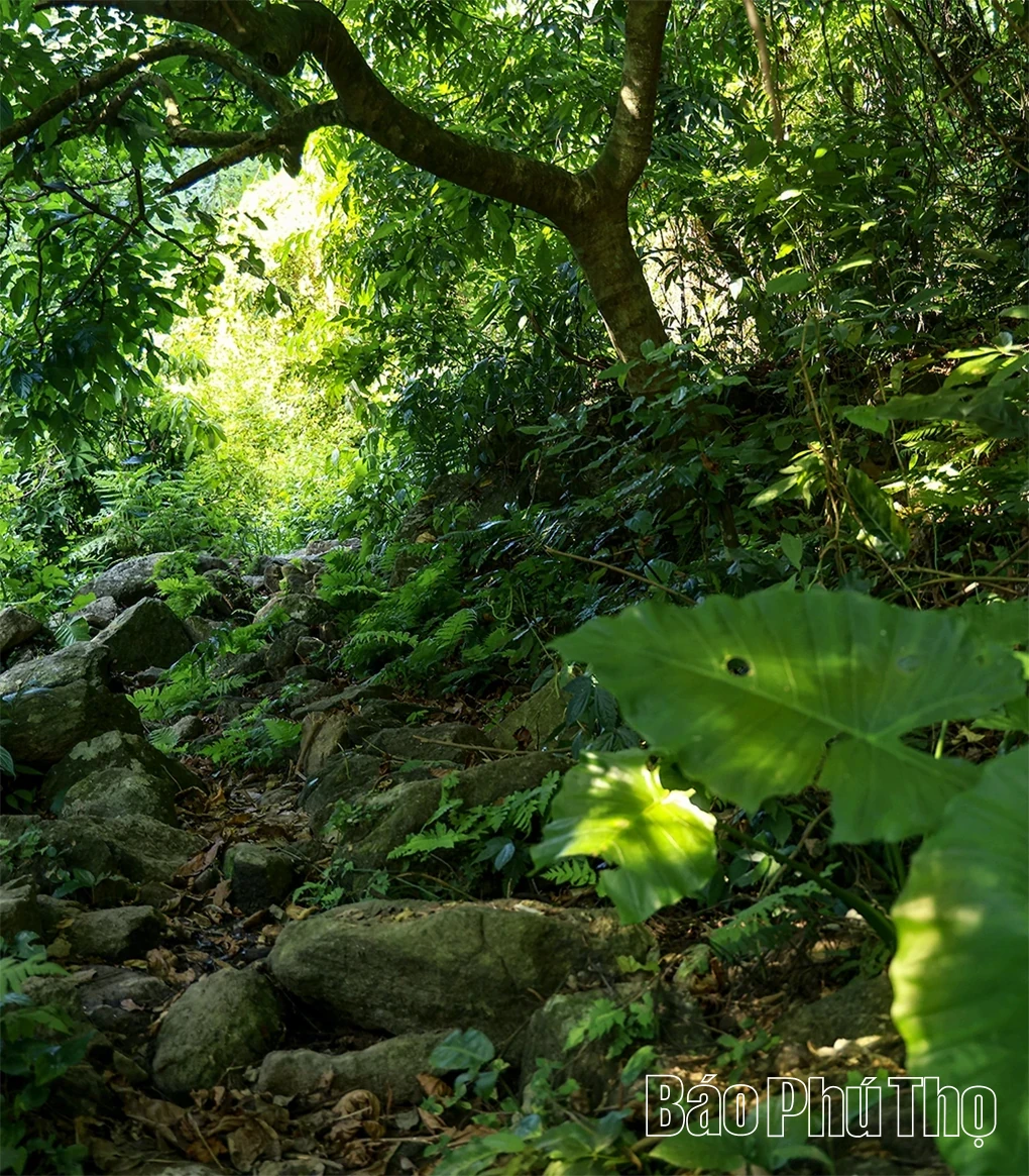 Sang Son Mountain: The Beauty of Spiritual and Eco-Tourism