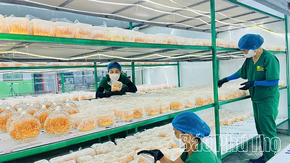 Combining Circular Agriculture with Experiential Tourism