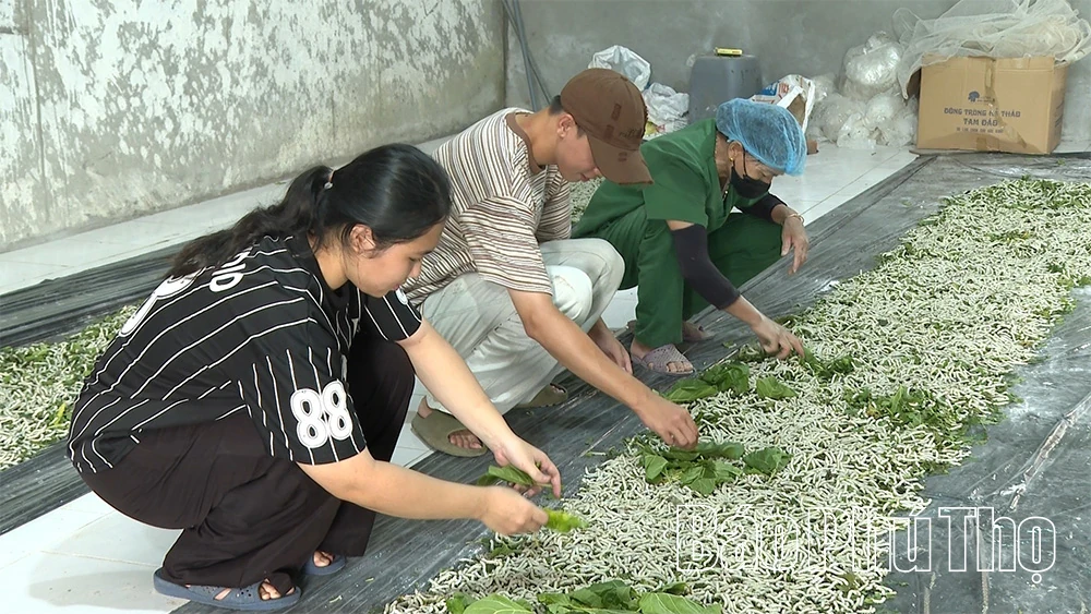 Combining Circular Agriculture with Experiential Tourism