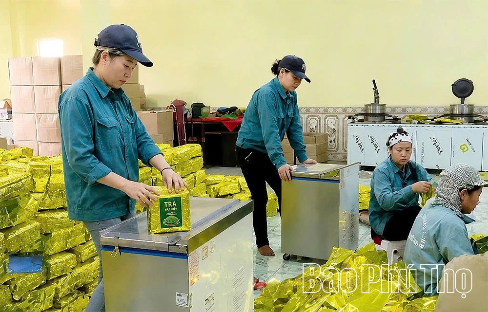 VIFTA Opens New Export Opportunities for Phu Tho Businesses