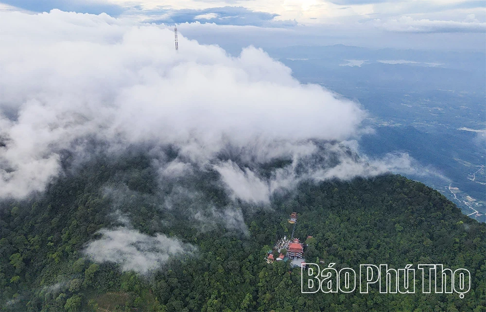 Spiritual Impression on Tam Dao Mountain