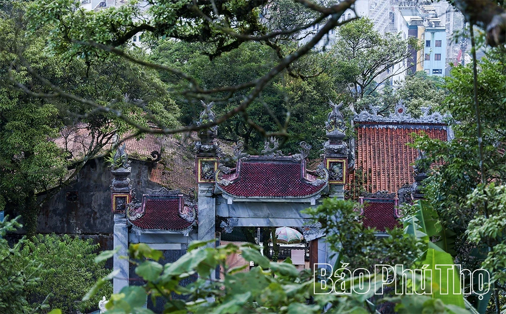 Spiritual Impression on Tam Dao Mountain