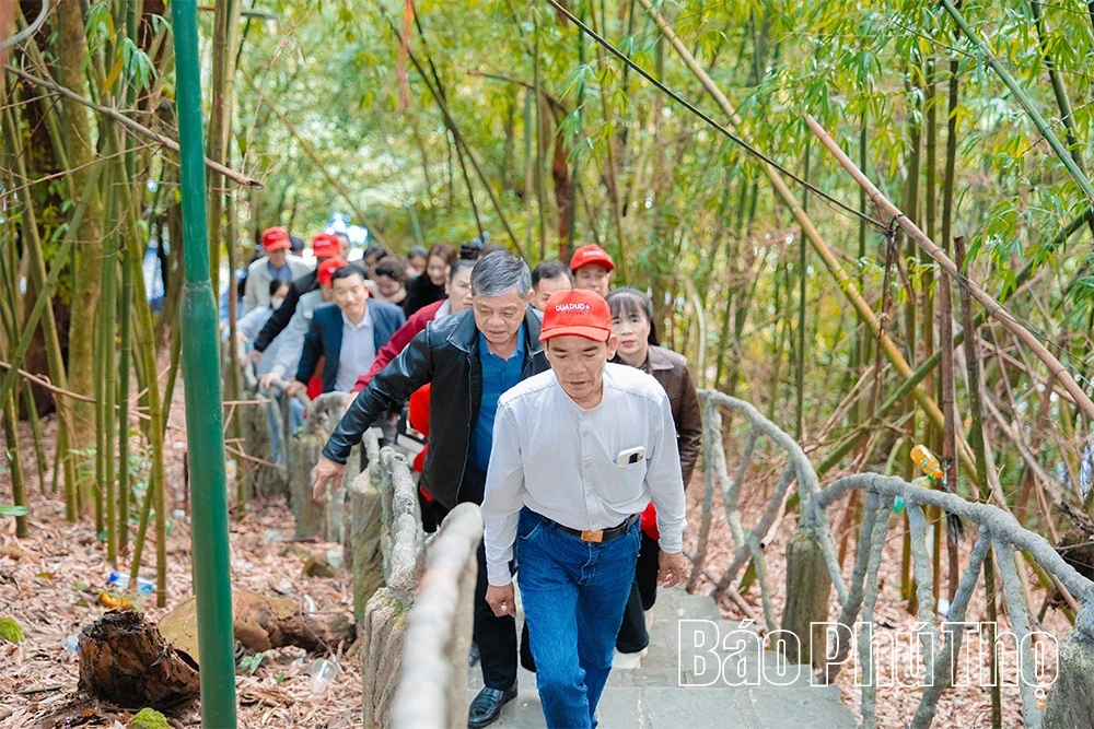 Spiritual Impression on Tam Dao Mountain