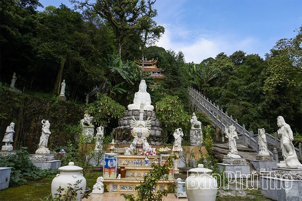 Spiritual Impression on Tam Dao Mountain