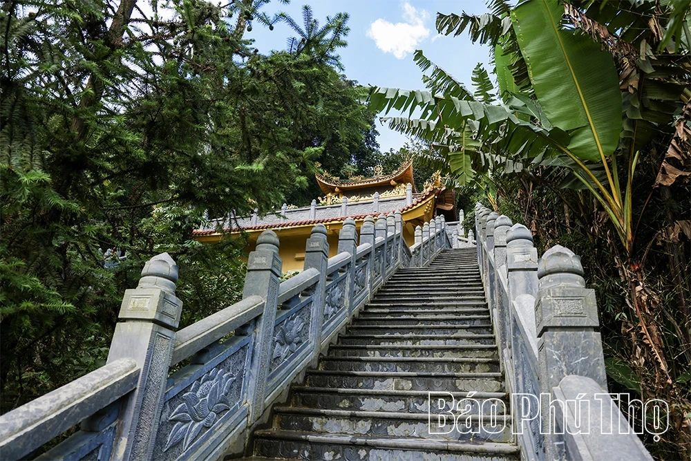 Spiritual Impression on Tam Dao Mountain