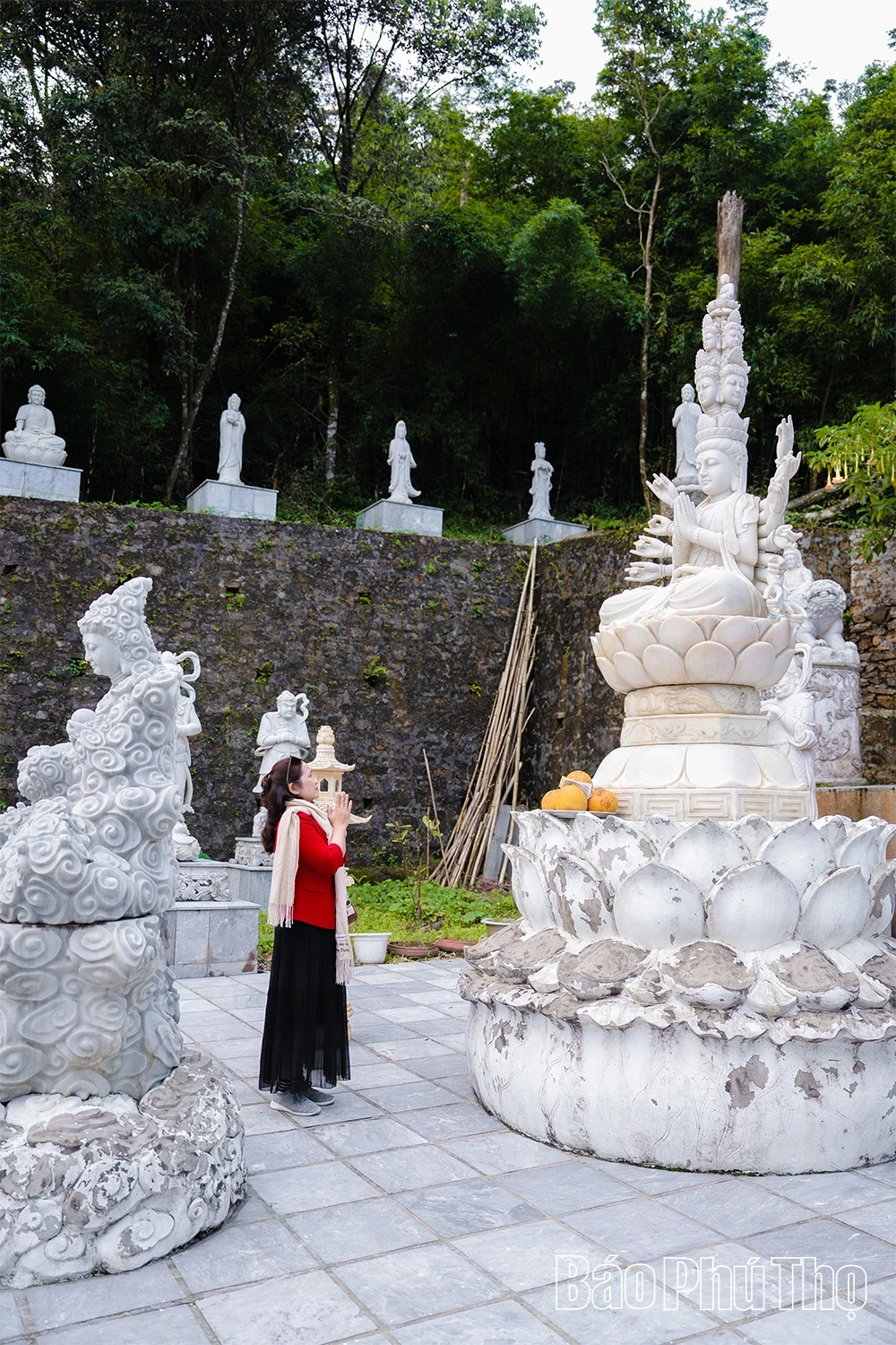 Spiritual Impression on Tam Dao Mountain