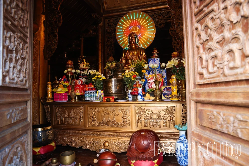 Spiritual Impression on Tam Dao Mountain