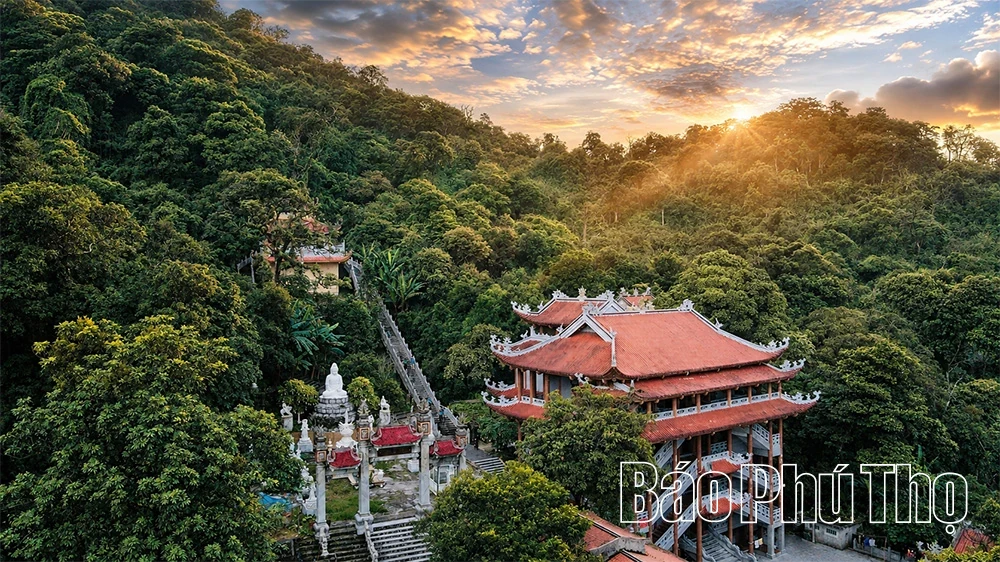 Spiritual Impression on Tam Dao Mountain