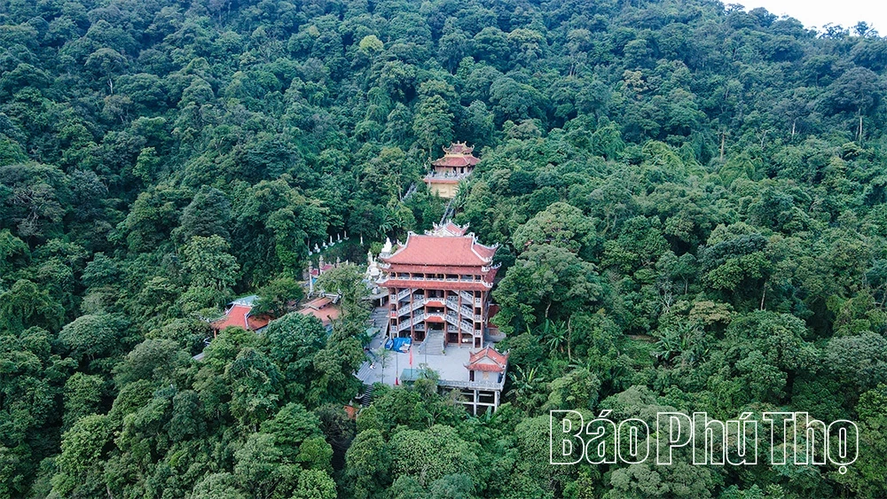 Spiritual Impression on Tam Dao Mountain