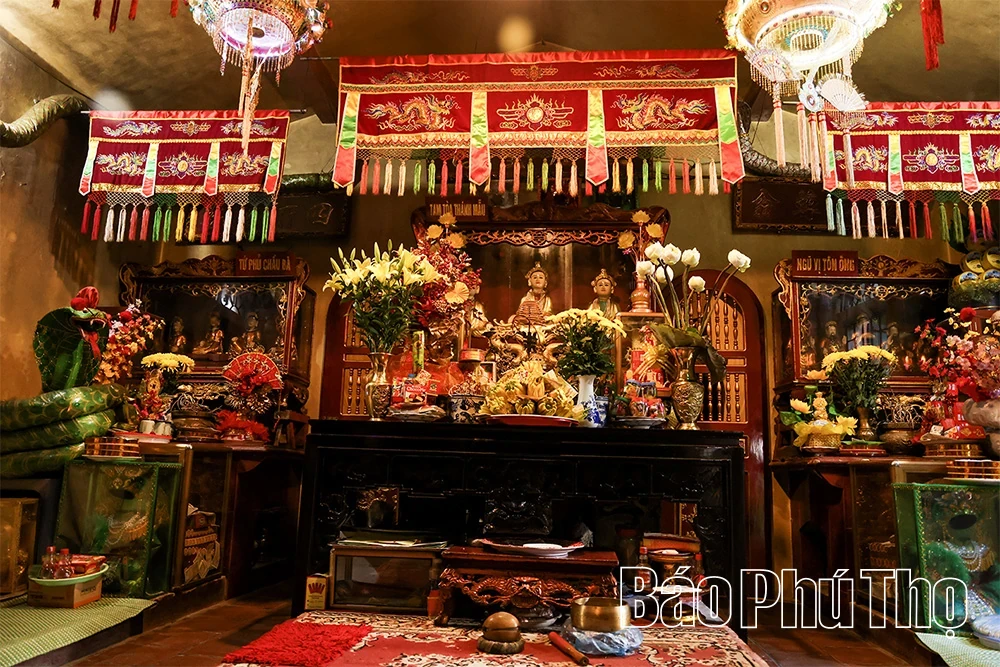 Spiritual Impression on Tam Dao Mountain