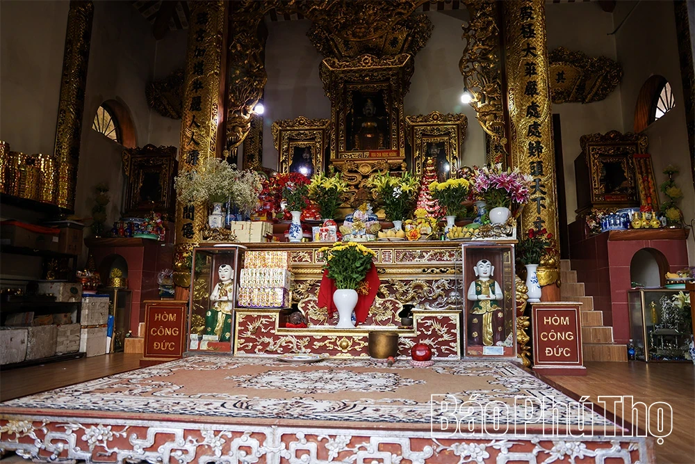 Spiritual Impression on Tam Dao Mountain