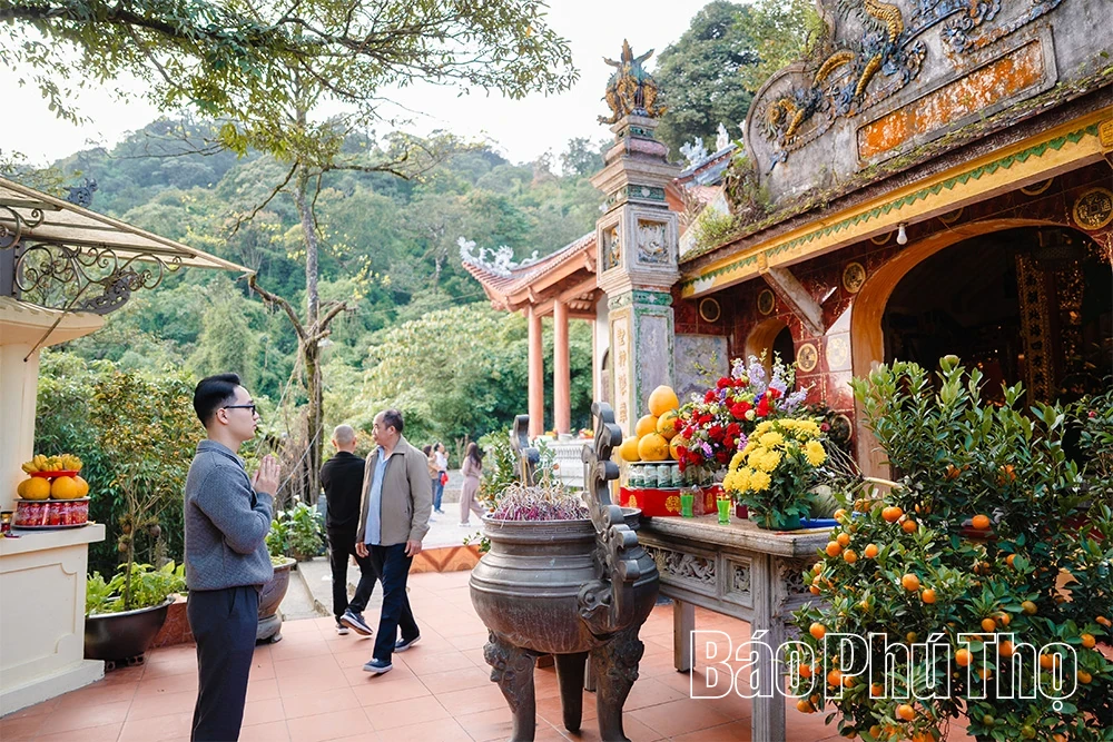 Spiritual Impression on Tam Dao Mountain