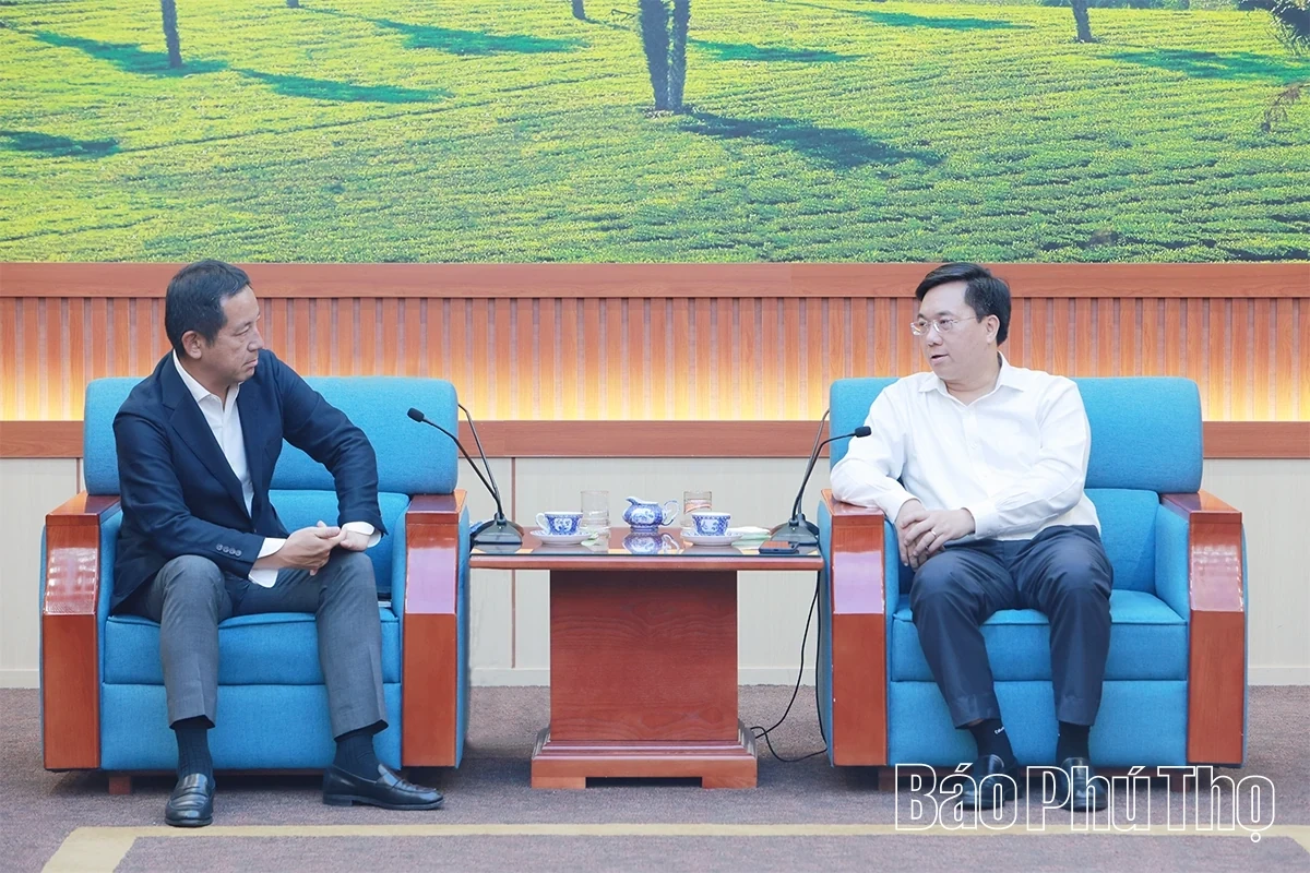 Chairman of the Provincial People’s Committee Tran Duy Dong Meets with Sumitomo Corporation of Japan