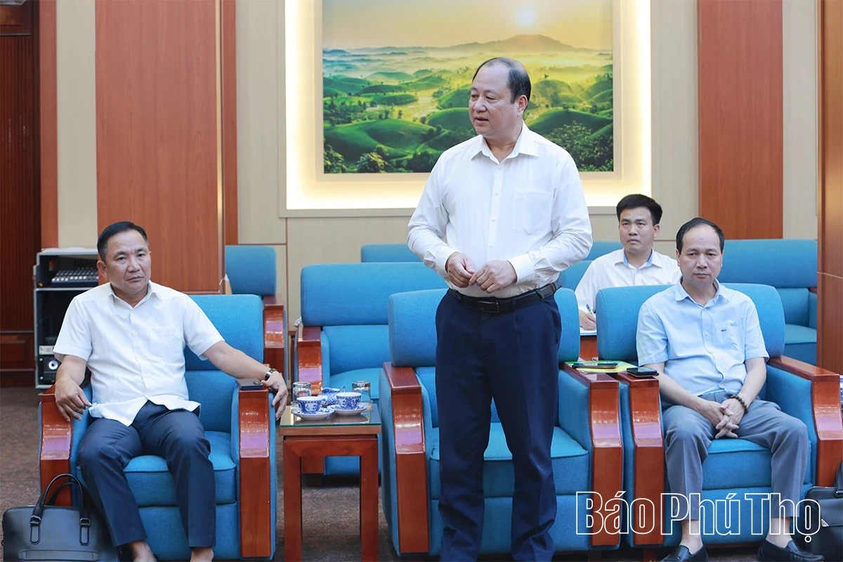 Chairman of the Provincial People’s Committee Tran Duy Dong Meets with Sumitomo Corporation of Japan