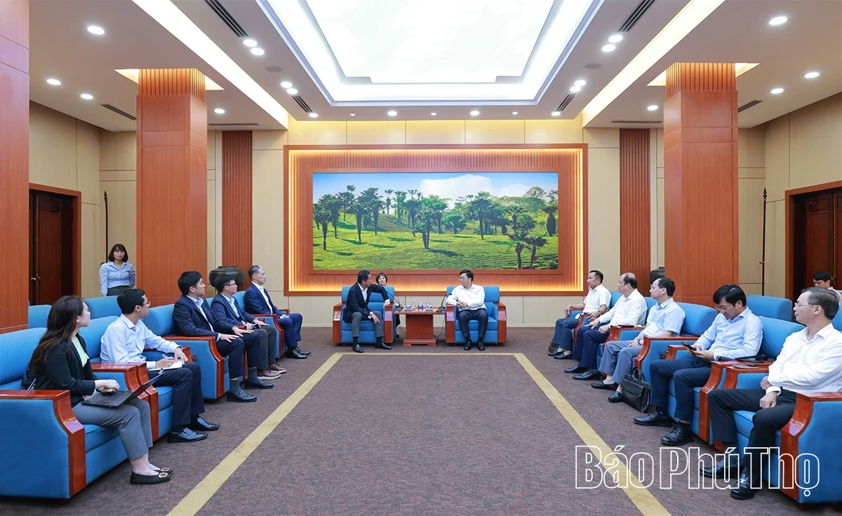 Chairman of the Provincial People’s Committee Tran Duy Dong Meets with Sumitomo Corporation of Japan