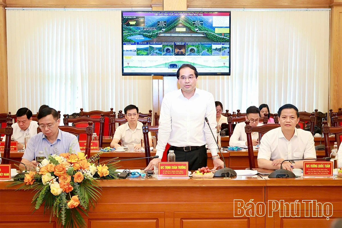 Consensus Reached on Investment Plan for Tam Dao Tunnel Construction Project
