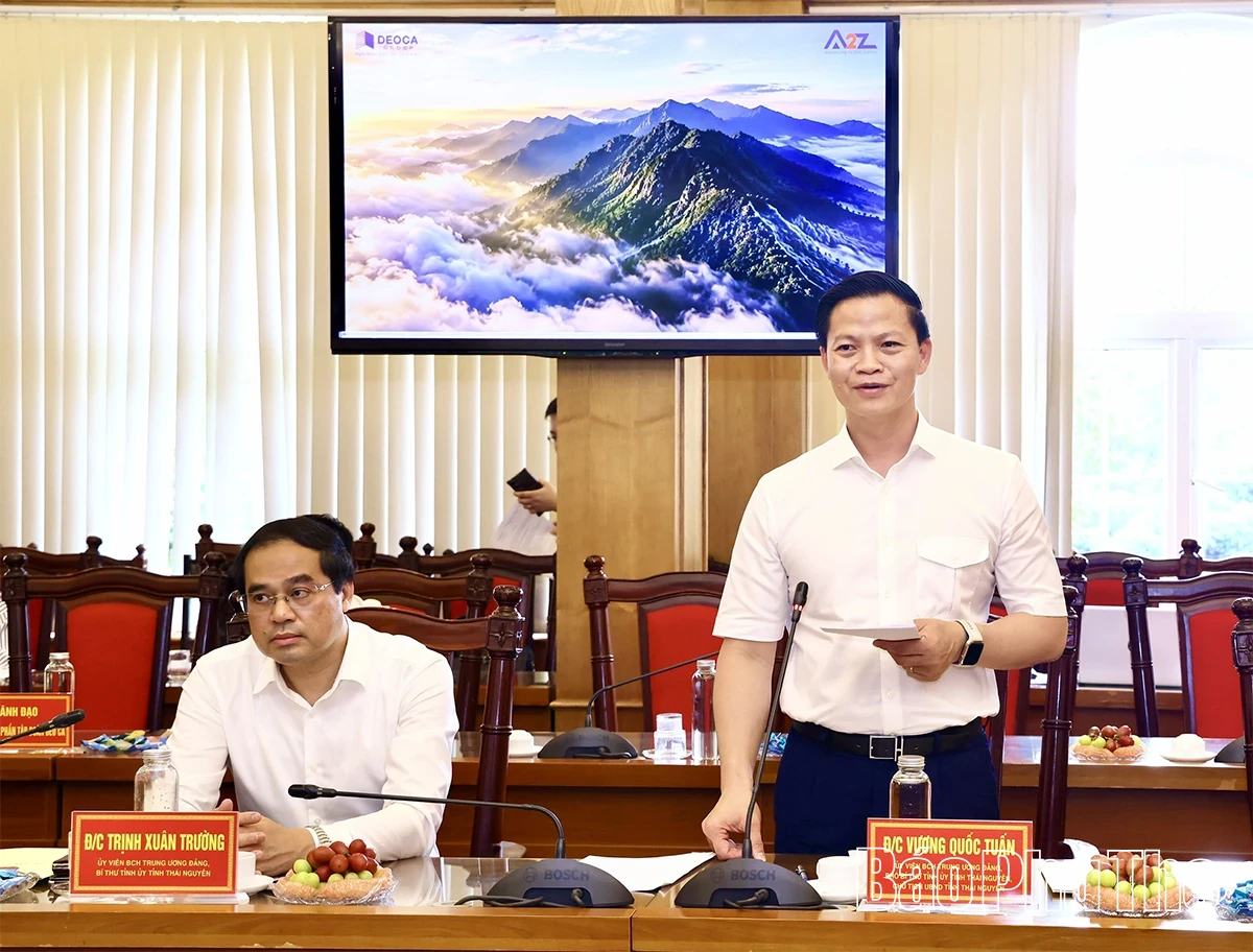 Consensus Reached on Investment Plan for Tam Dao Tunnel Construction Project