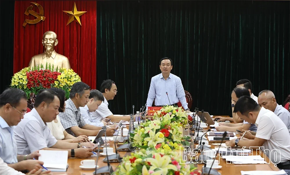 Reviewing Progress of Key Projects in the Hoa Binh Region