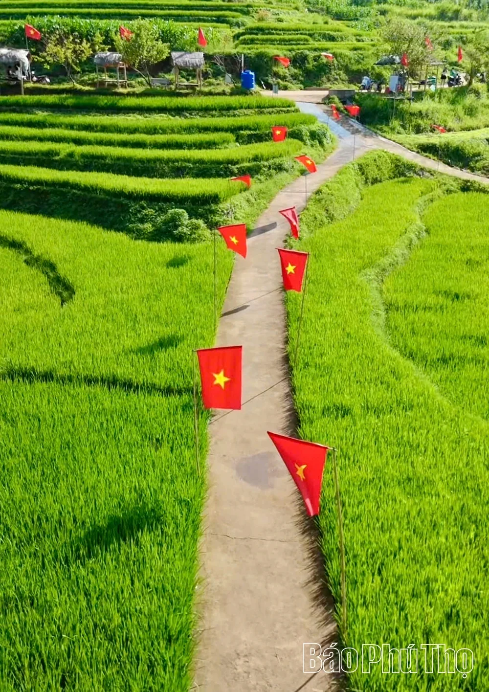 Proud Colors of the National Flag on National Day