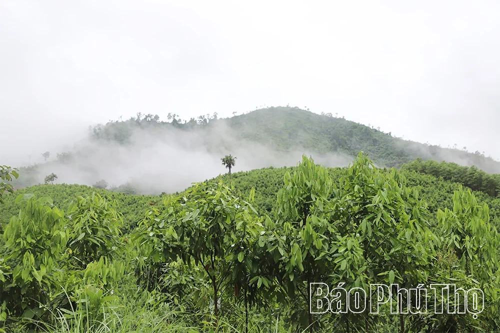 Trung Son – A New Destination on the Community Tourism Discovery Journey
