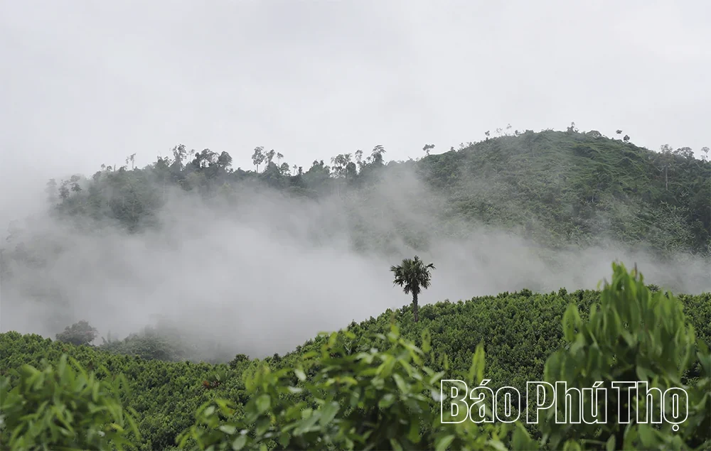 Trung Son – A New Destination on the Community Tourism Discovery Journey
