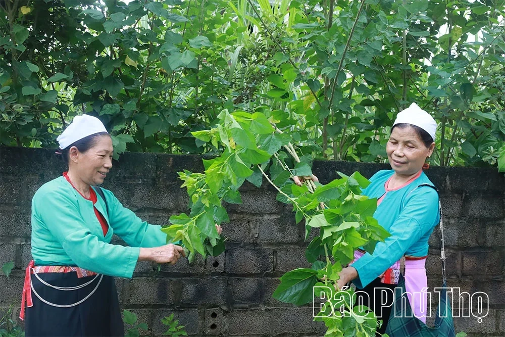 Reviving the Dong Lai Brocade Weaving Craft Village