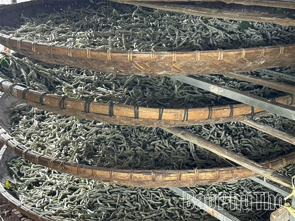 Reviving the Dong Lai Brocade Weaving Craft Village