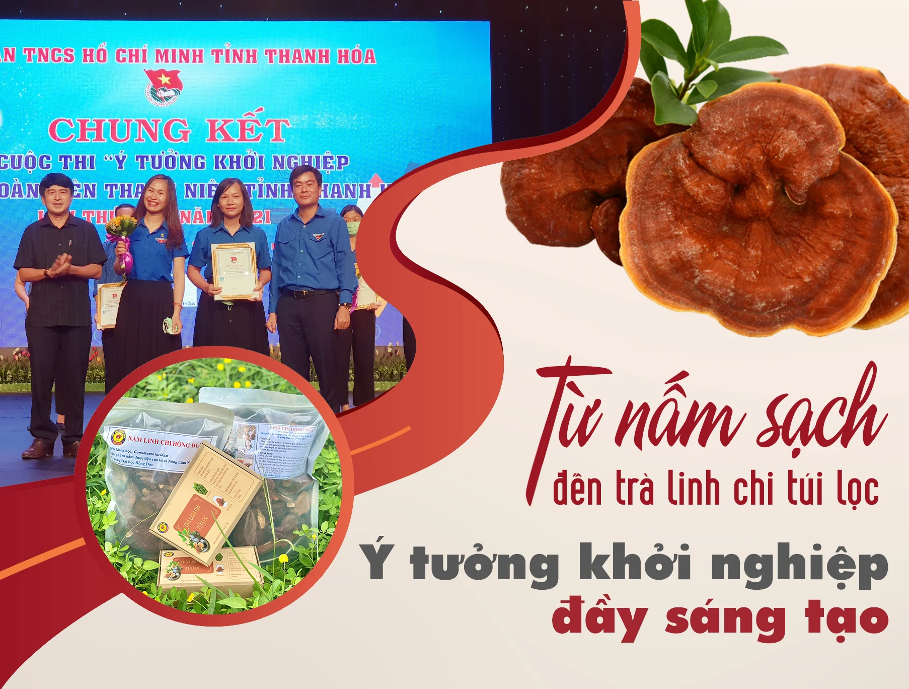 Từ nấm sạch đến trà linh chi túi lọc- Ý tưởng khởi nghiệp đầy sáng tạo