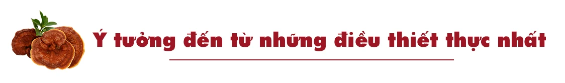 Từ nấm sạch đến trà linh chi túi lọc- Ý tưởng khởi nghiệp đầy sáng tạo