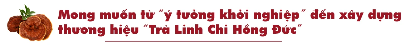 Từ nấm sạch đến trà linh chi túi lọc- Ý tưởng khởi nghiệp đầy sáng tạo