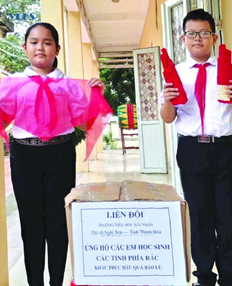 Trưởng thành sau cơn bão