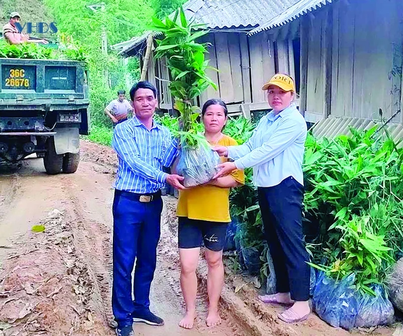 Giải bài toán giảm nghèo ở Mường Lý