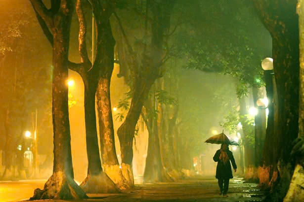 Lãng đãng đầu đông...